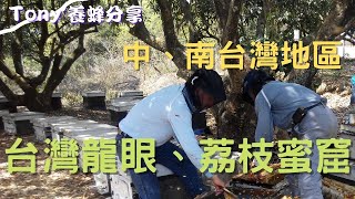 全台龍眼蜜、荔枝蜜到底在哪裡收的?