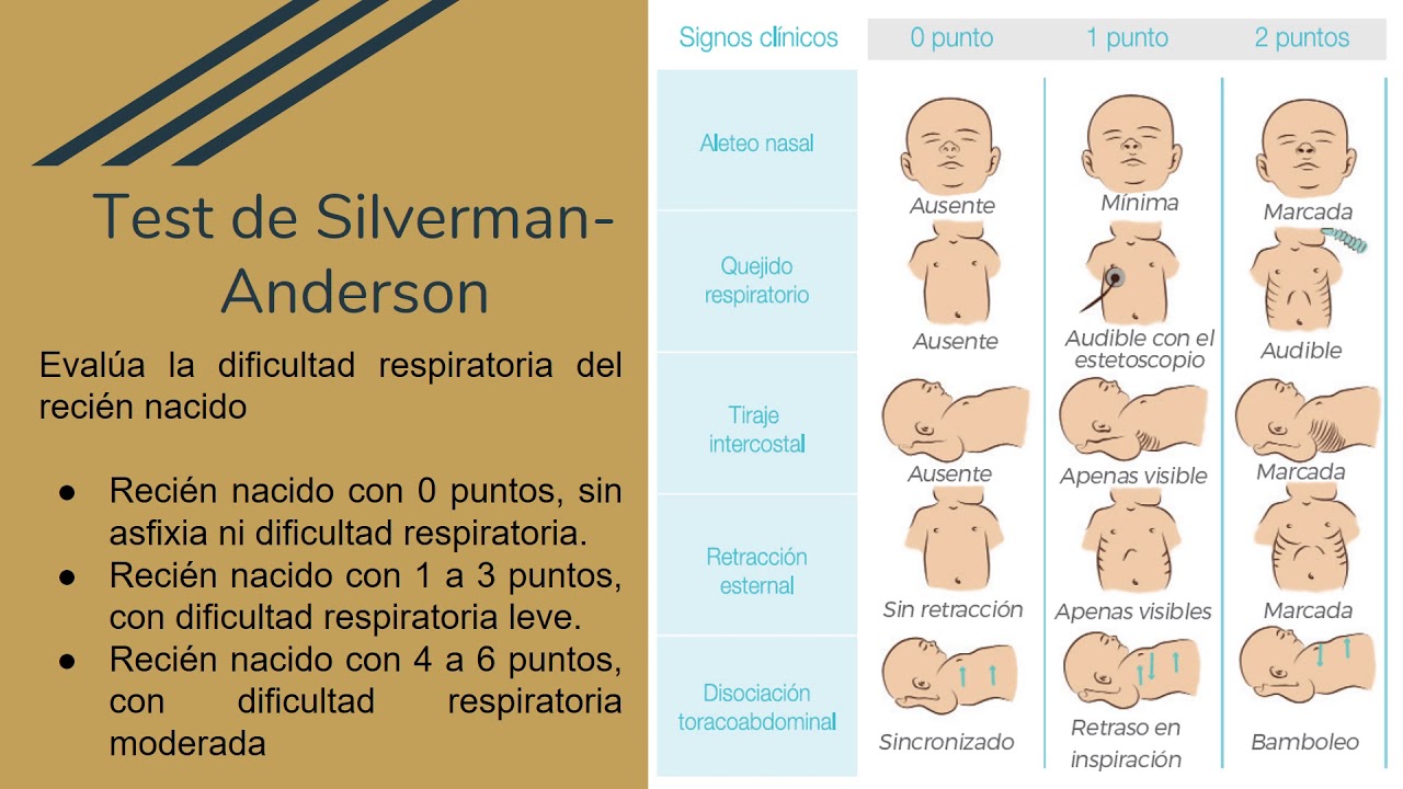 APGAR, Test De Silverman Anderson, CAPURRO - YouTube