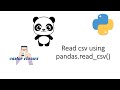 Read csv using pandas.read_csv() | Python | Castor Classes
