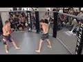 mma berlin 69 leon kapellmann 76kg felix strotthoff