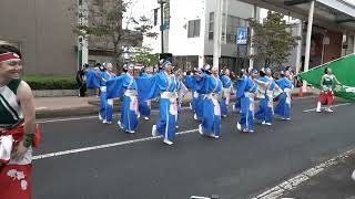 2024年　奥州OSAKOIInみずさわから。海童いしゃり（かいどういしゃり）さん。（宮城県）。