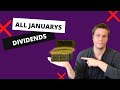 Dividend Stock Portfolio Review 1 - Dividend Payments and Investment Tracker / Spreadsheet