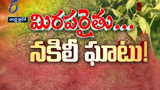 మిరప రైతు... నకిలీ ఘాటు! | ప్రతిధ్వని | 7 అక్టోబర్ 2016 | ఈటీవీ ఆంధ్ర ప్రదేశ్