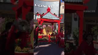 Chinese drum solo by Evelyn Tang, at Citadel Outlets, 2018 Chinese New Year Celebration performance