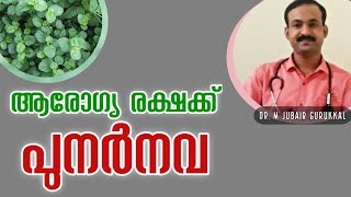 രോഗങ്ങളില്ലാതെ ജീവിക്കാം ആയുരാരോഗ്യത്തോടെ | PROTECT YOUR HEALTH WITH PUNARNAVA | MALAYALAM