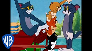 Tom y Jerry en Latino | Dibujos animados clásicos 103 | WB Kids
