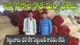 February10#గిట్టుబాటు ధర లేక రైతు పరిస్థితి|Warangal Market mirchi rates cotton rate వరంగల్ మార్కెట్