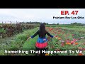 Something That Happened to Me EP. 47~09/12/2024~