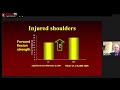 DR BEN KIBLER - SCAPULAR DYSKINESIS - IBERO AMERICAN REHAB COURSE (Sergio Rowinski and Daniel Moya)