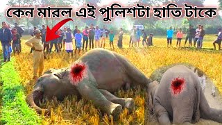 😱পৃথিবীর সবচেয়ে ভয়ানক হাতির মৃত্যু ||elephant facts ||fact video 😱