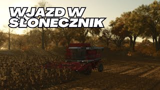 Koszę Słonecznik! FS25