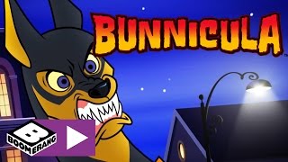 Bunnicula | Fluffy War Journal | Boomerang UK