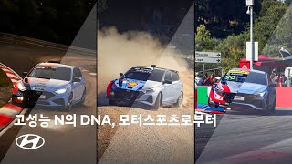 Hyundai N | 고성능 N의 DNA, 모터스포츠로부터 | 현대자동차