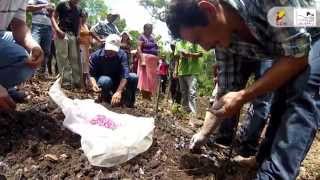 Taller sobre Agricultura Orgánica y Técnicas de Cultivo