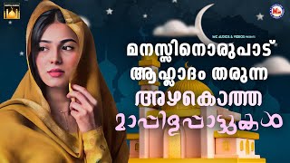 മനസ്സിനൊരുപാട് ആഹ്‌ളാദം തരുന്ന അഴകൊത്ത മാപ്പിളപ്പാട്ടുകൾ | Mappilapattu  | #mappila   #songs