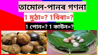 তামোল পানৰ গণনা | | betel nut | | counting | | how to count betel nut | | betel leaf | |