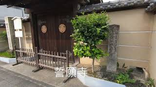 誓願寺　名古屋市熱田区白鳥二丁目10番12号