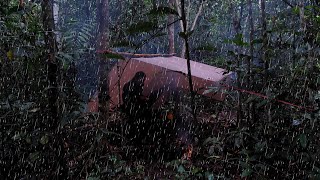2 Hari Solo Cing di Hutan Hujan Deras Sepanjang Hari Memasang Tarp Shelter di Pohon