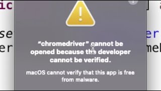 How to Fix ChromeDriver Cannot Be Opened Because of Unknown Developer Problem with Selenium Java