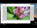 How to increase Saturation of multiple JPG images (Batch processing, FastStone Image Viewer)