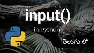 input() in python | Reading user input using input() in python Telugu | input() function in Telugu