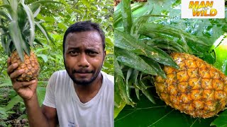 Village funny man vs wild video//pineapple eating//দেশি আনারস খোঁজার দারুণ মজাদার ফানি ভিডিও