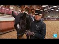 france s cadre noir academy the school of equestrian excellence • france 24 english