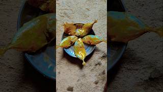 🐠 ଛାଡଖାଇ ସ୍ପେଶାଲ ମାଛ ତରକାରୀ,#odiarecipe#trending#fish curry#viral videos