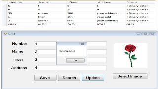 Update Query In Vb.net With Sql Server