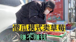 哈尔滨80后摆摊创业，街边傻瓜模式卖草莓，卖900多块钱赚多少