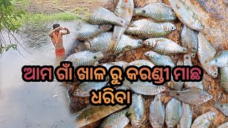 ଆଜି ଚାଲ ଖାଳ ରୁ କରଣ୍ଡୀ ମାଛ ଧରିବା 🦈 Amazing Fishing villgestyle Desi ମୟୁରଭଞ୍ଜ in india