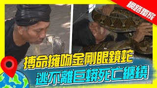 【印尼】搏命擁吻金剛眼鏡蛇 逃不離巨蟒死亡纏繞｜《世界第一等》濃縮精華版 #世界該去哪