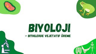 10.sınıf Biyoloji Ünite 1: Bitkilerde Vejetatif Üreme