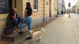 Walking in Kielce, Poland / Spacer w Kielcach - Sienkiewicza Street - Polish Walking Tour - Dog