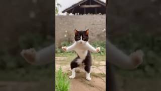 Kucing lucu nge gas #trendingshorts #shorts #funny