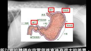 103-1 嘉義大學  獸醫系  解剖學實習影片「犬X光解剖構造之介紹」