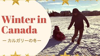 【カナダの冬】Winter in calgary！カナダあるあるシーン。