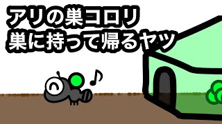 アリの巣コロリを巣に持って帰るヤツ【昆虫アニメ】