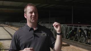 Lely Dairy XL - Testimonianza dell'azienda Homestead Dairy - IT