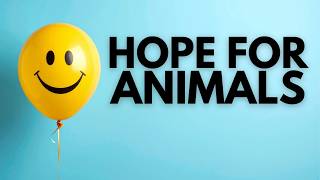 5 Reasons For Vegans To Be Optimistic In 2026