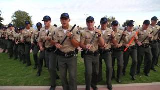 SBSD Class 203 Video