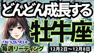 【牡牛座】♉️2024年12月2日の週♉️どんどん成長する。変化の激しい時期。でも、やっている事は正しいです。おうし座タロット占い