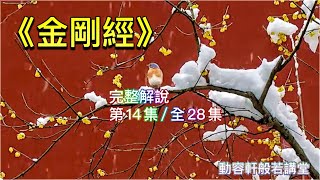 《金剛經》完整解說  [第14集/全28集]