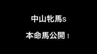 中山牝馬S 2022 〜本命馬〜