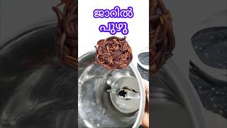 How to clean maxi jar |  മിക്സി ജാർ ക്ലീനാക്കുന്നതെങ്ങനെ? | Excel Electricals