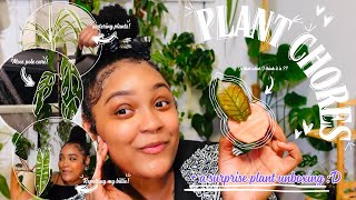 Plant Chores!!! 🧹 🍃 VLOG | watering day💧repotting my Billie 🌱 moss pole care + surprise unboxing 📦 |