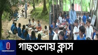 চটের বস্তা বিছিয়ে ক্লাস চলছে সরকারি বিদ্যালয়ে || Habiganj School