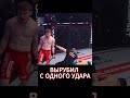 ВЫРУБИЛ С ОДНОГО УДАРА mma попмма ufc