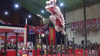 BARONGSAI TONGGAK dari DKI -  Kerjurnas FOBI 2018 #barongsai #fobi #barongsaitonggak