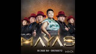 GRUPO MAYAS \